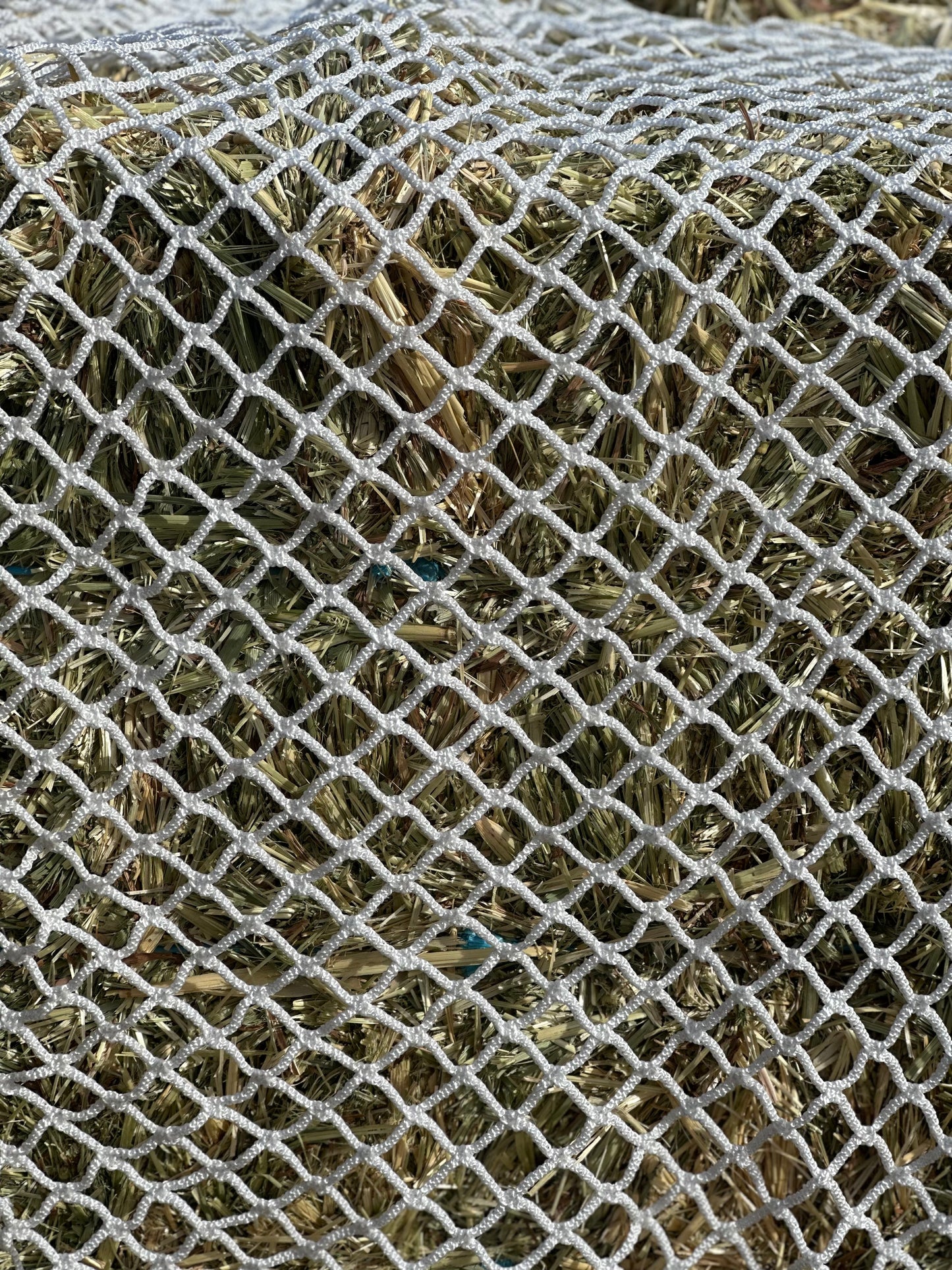 Hay Ring Top Rail Net
