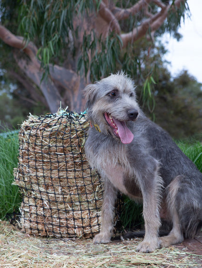 Medium Slow Release Hay Net